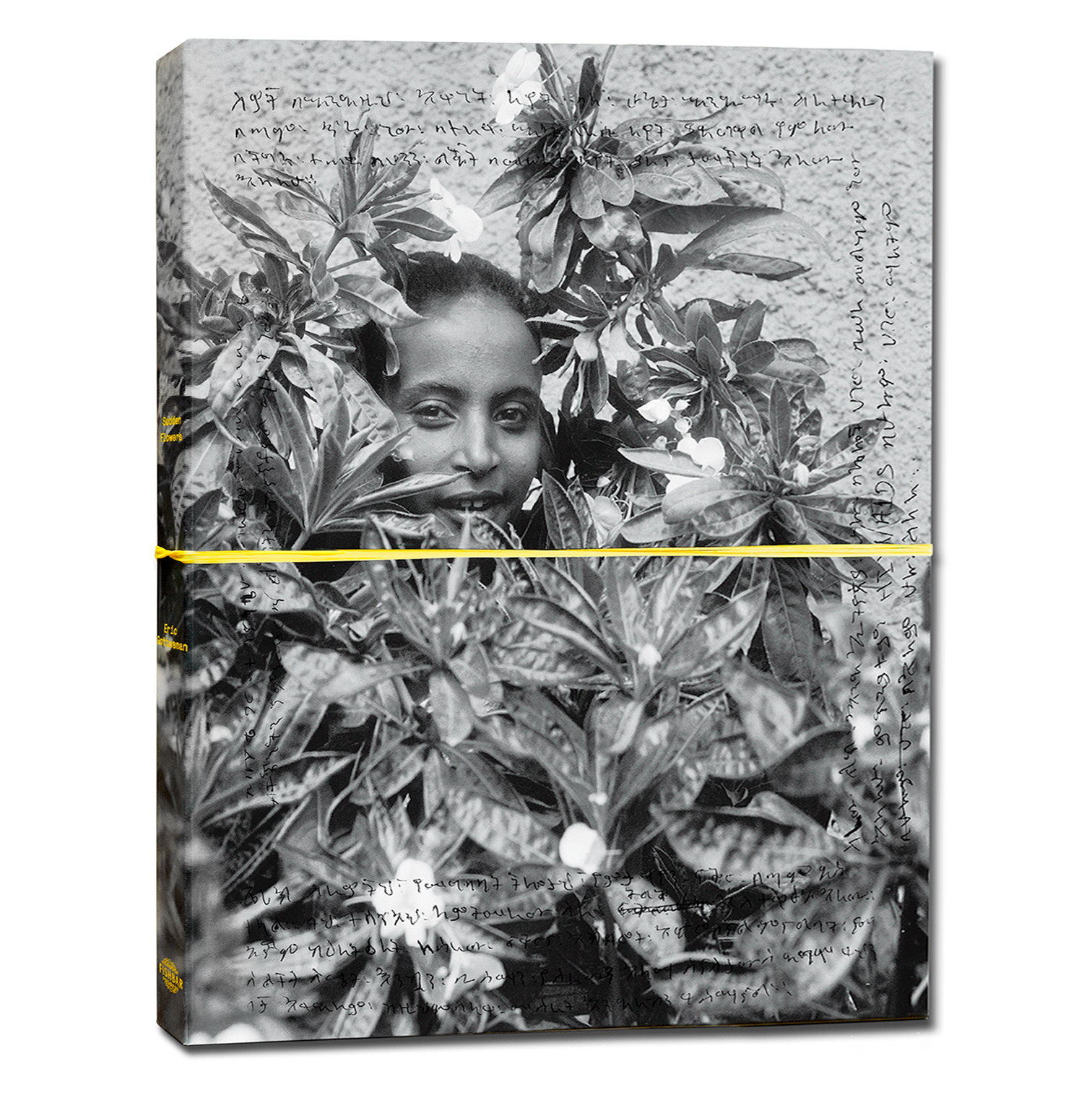 Sudden Flowers, published by Fishbar Press, 2014.